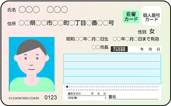特定在留カード・表面